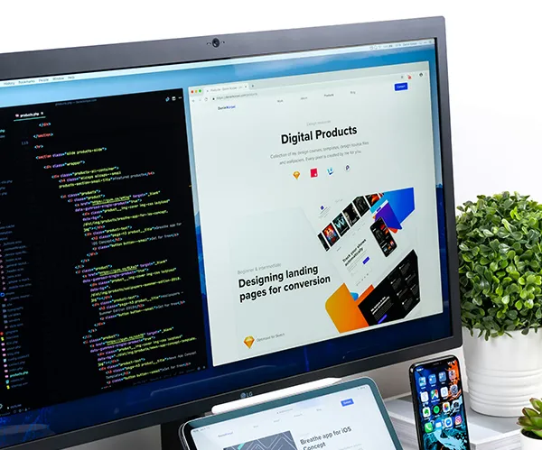 Свяжитесь с Webexlab